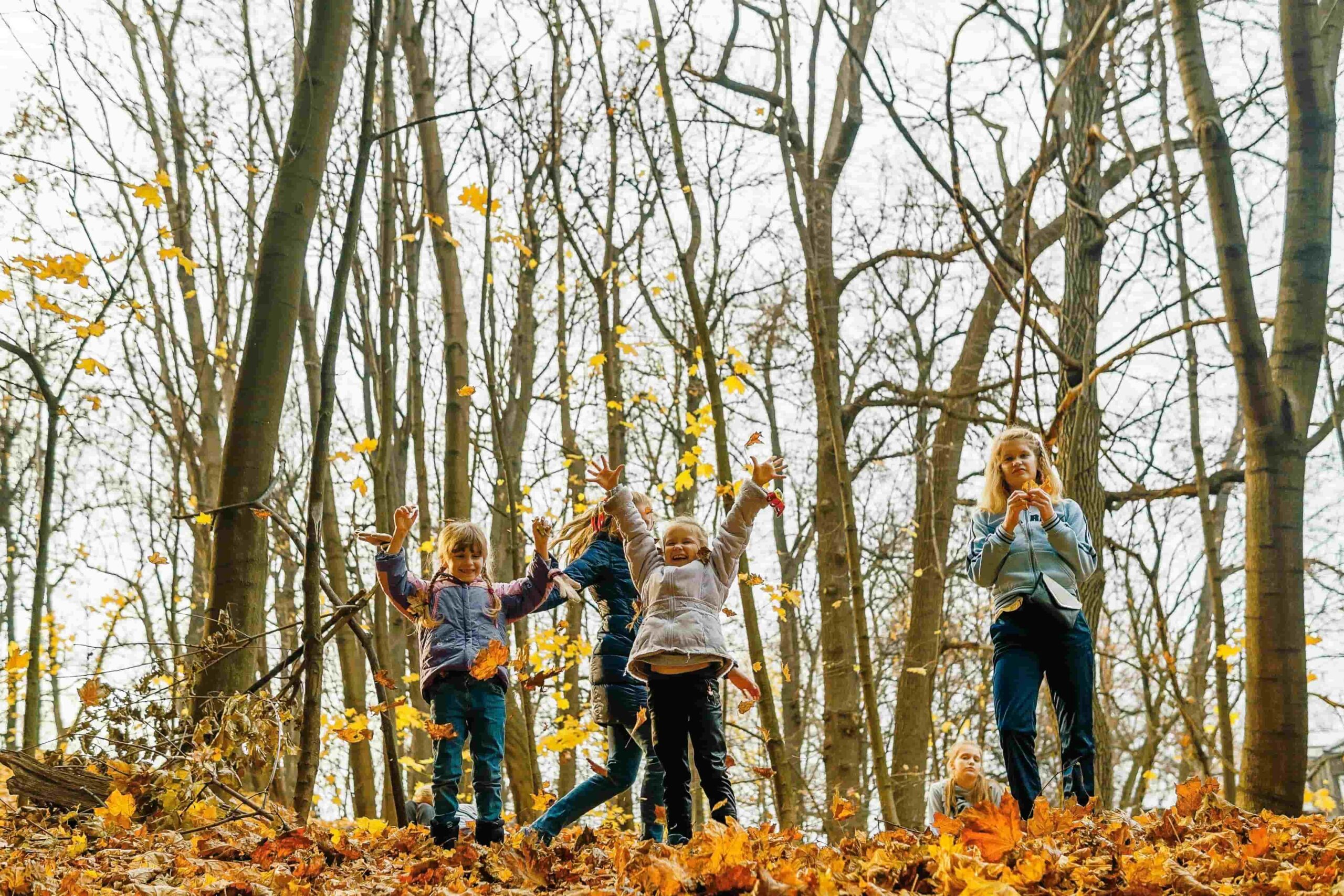 Spielende Kinder im Wald