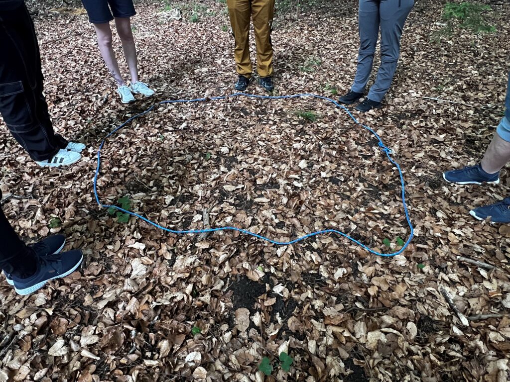 systemische Übung | systemisch erleben